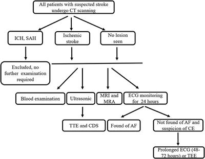 Retinal Microvascular Changes in Subtypes of Ischemic Stroke
